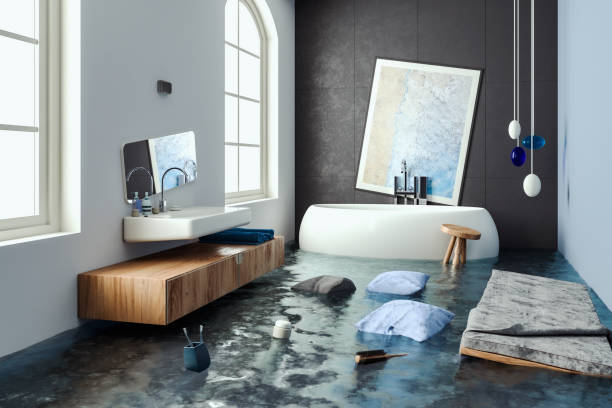 Best Water damage restoration near me  in Champlin, MN