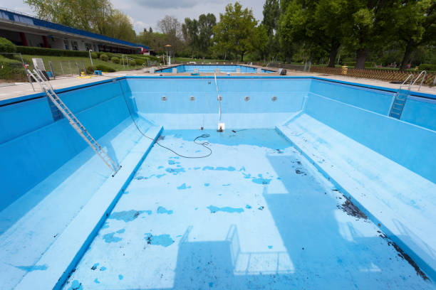 Best Mold removal after water damage  in Champlin, MN