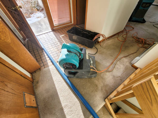 Best Basement water damage restoration  in Champlin, MN