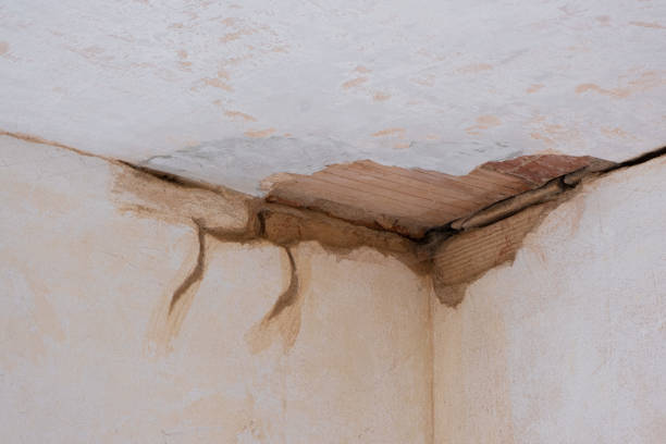 Water damage restoration process in Champlin, MN
