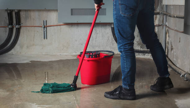 Best Flooded house restoration  in Champlin, MN