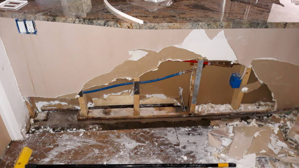 Best Sewage cleanup and water damage restoration  in Champlin, MN