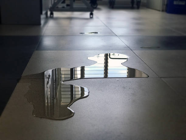 Best Local water damage restoration  in Champlin, MN