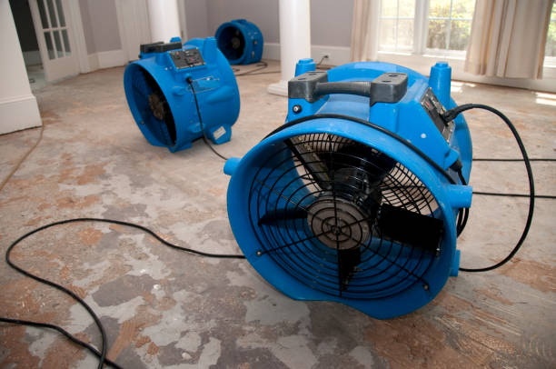 Best Ceiling water damage repair  in Champlin, MN