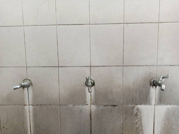 Best 24-hour water damage restoration  in Champlin, MN