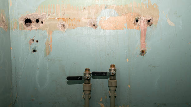 Carpet water damage restoration in Champlin, MN