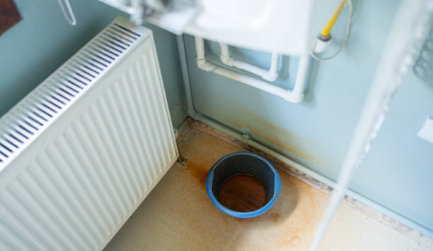 Best Fire Damage Restoration  in Champlin, MN