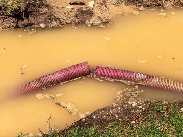 Trusted Champlin, MN Water damage restoration Experts