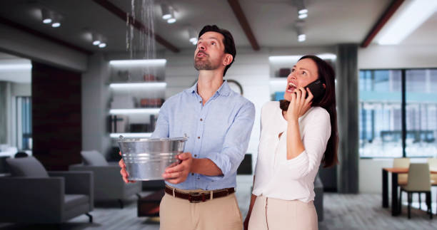 Best Emergency water damage restoration  in Champlin, MN
