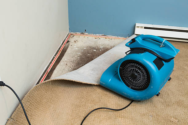 Best Water damage restoration near me  in Champlin, MN