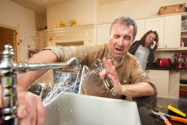 Best Residential water damage restoration  in Champlin, MN